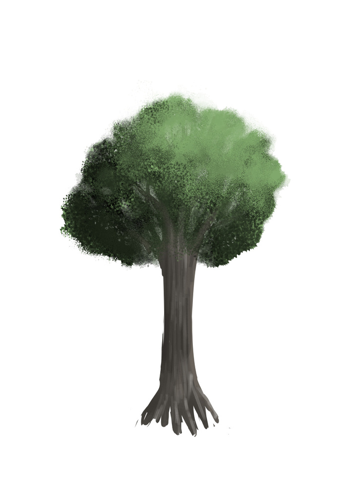 木の描き方イラレポ
