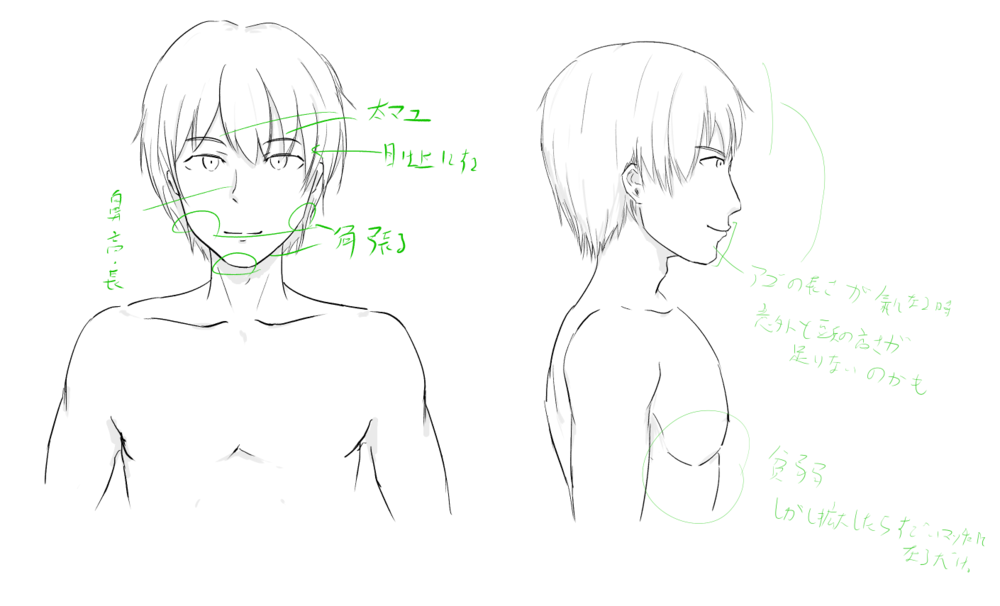 男性標準顔