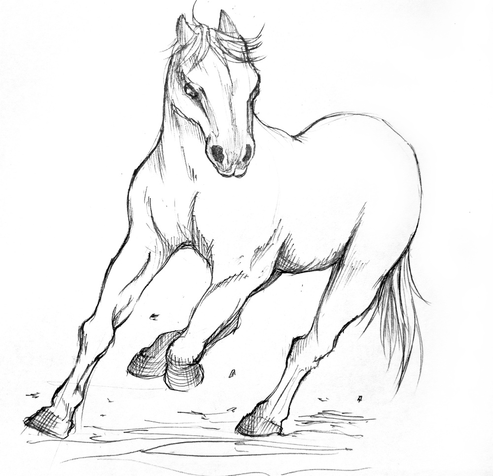 45min_drawing