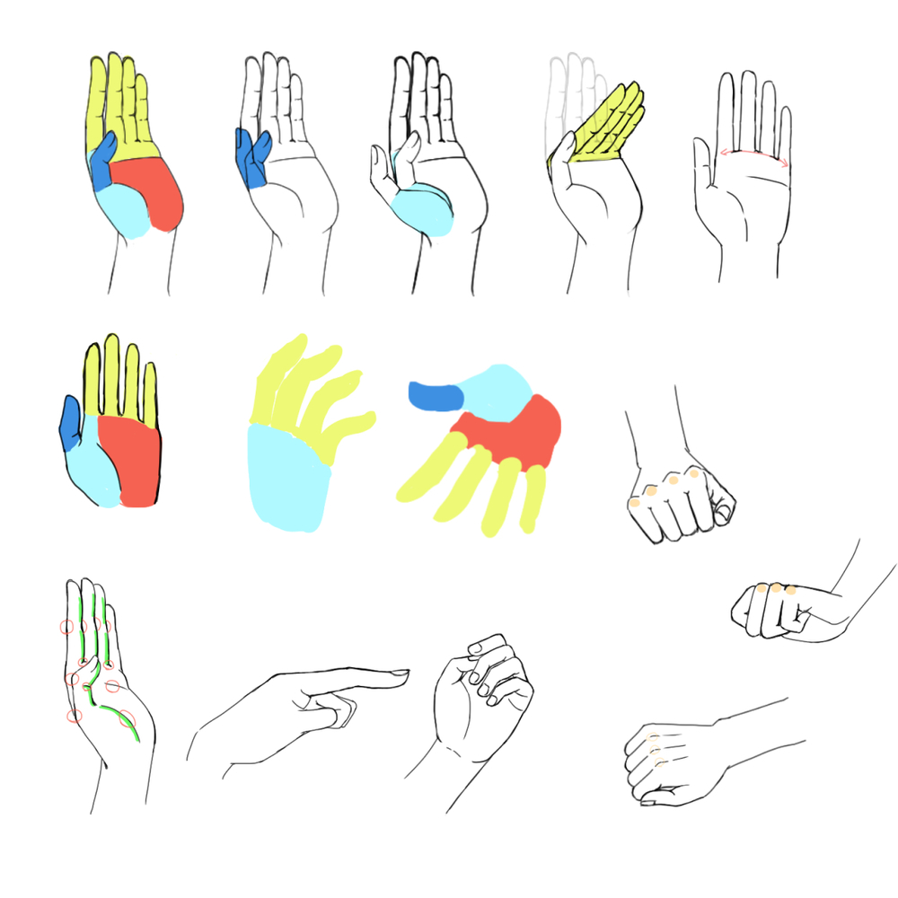 手や指の描き方