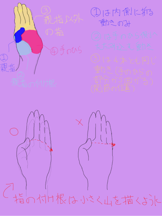 手の描き方1