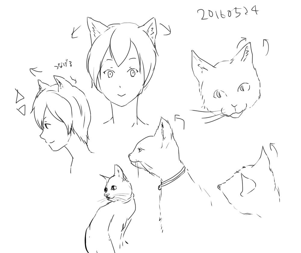 猫耳