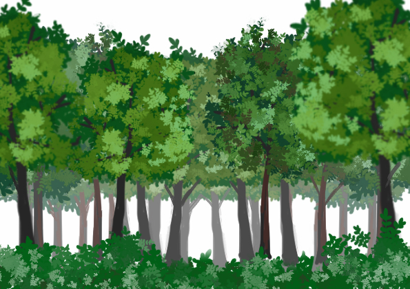 森を描く