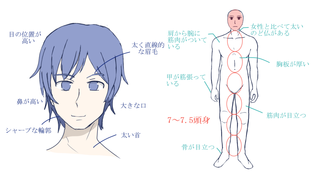 顔と体