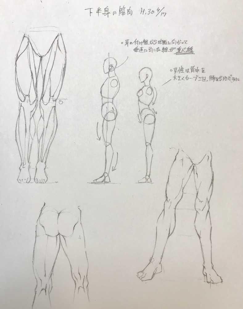 下半身の筋肉