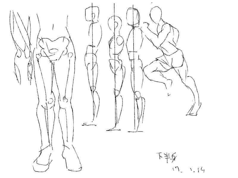 下半身の筋