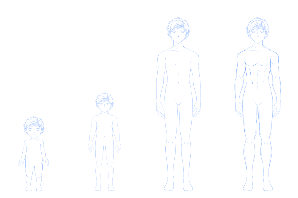 男性キャラの体型