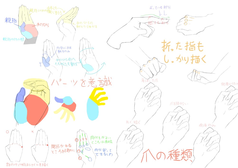 手の描き方