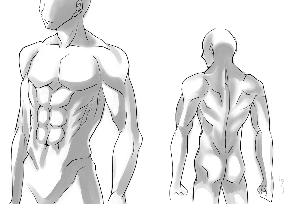 上半身の筋肉の描き方講座