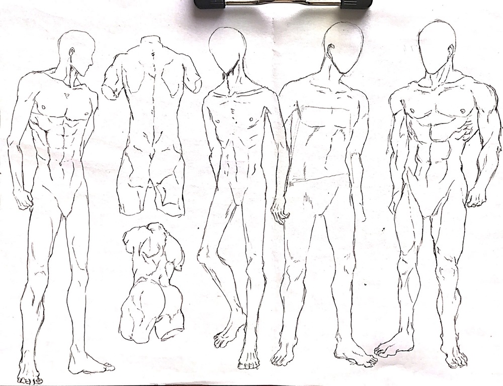 体型
