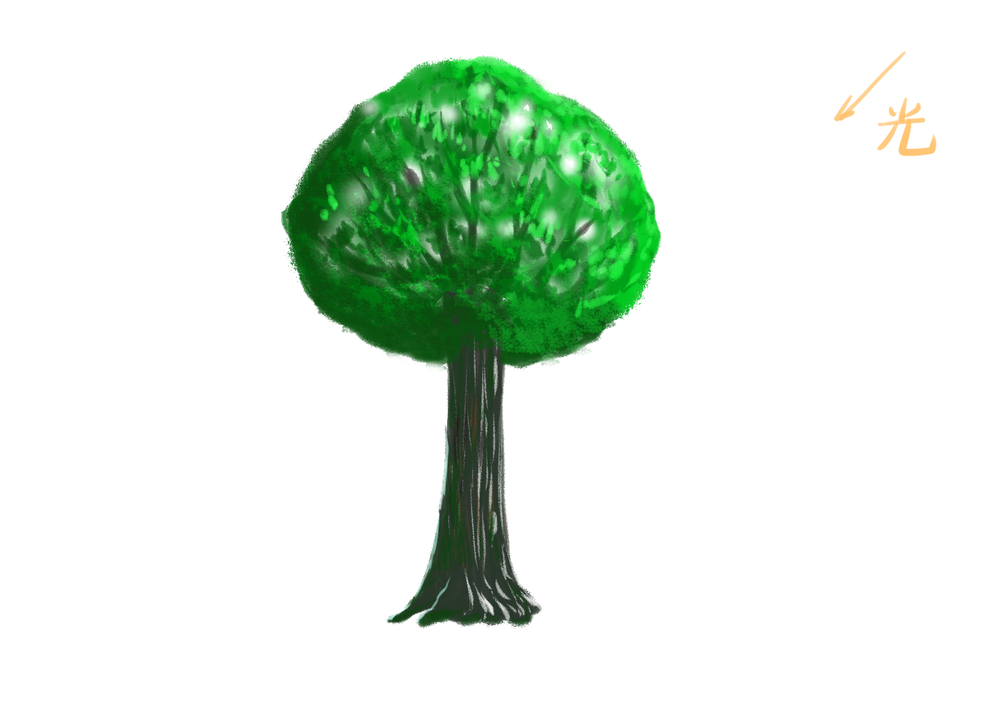 木の描き方