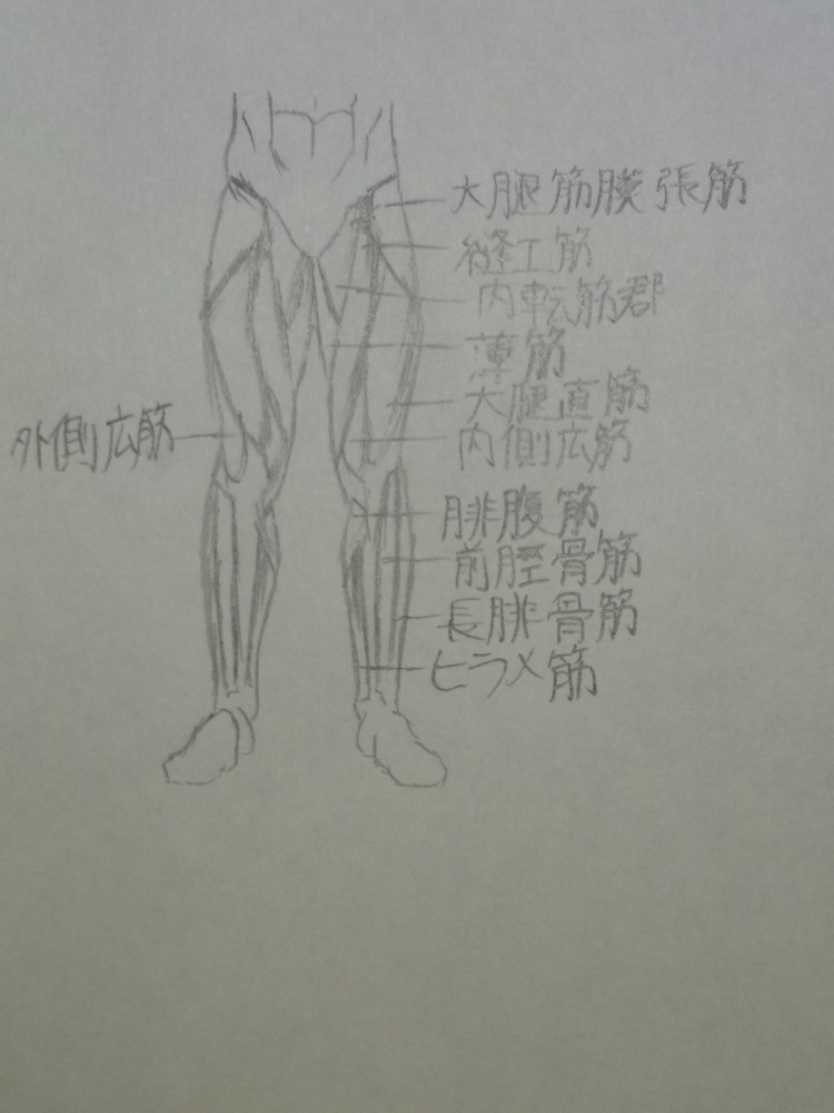 下半身（構図）
