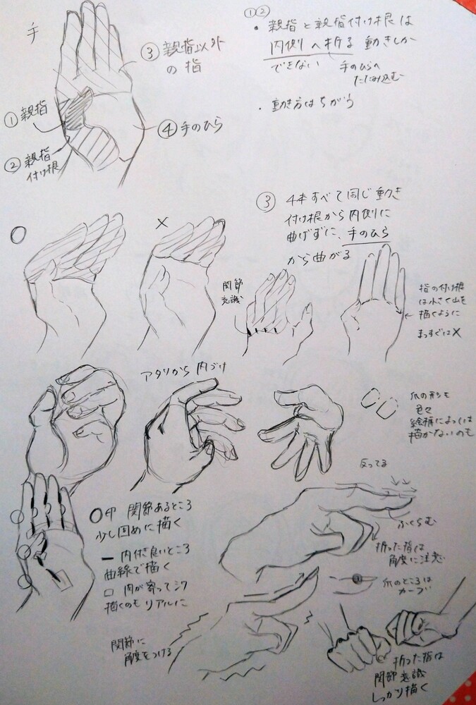 三日目