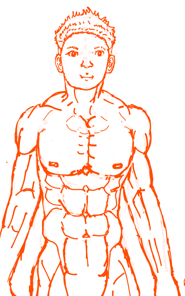 上半身描いてみました