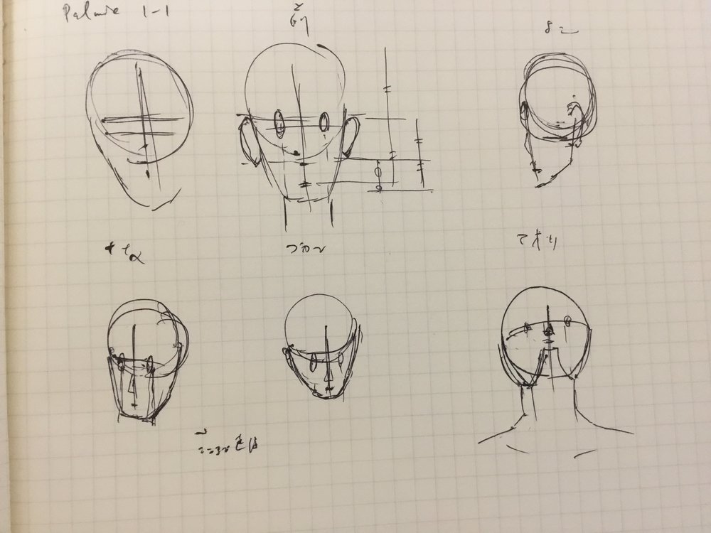 顔の比率