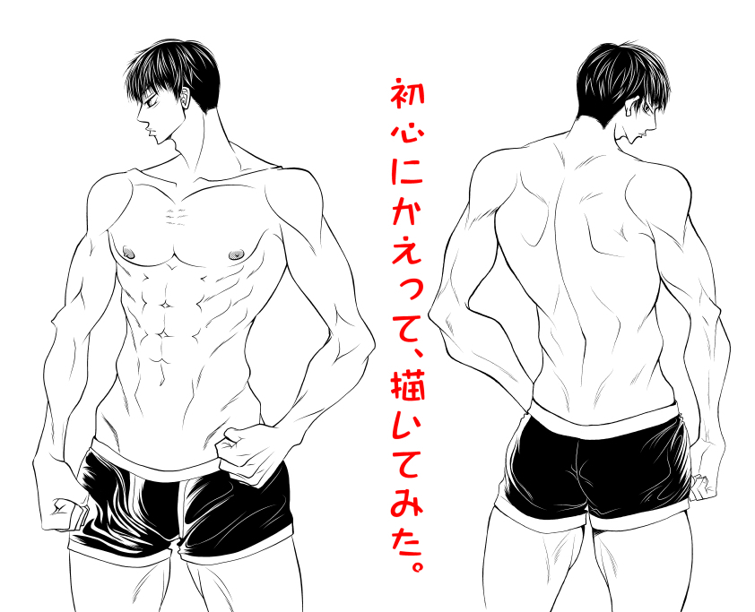 上半身の筋肉