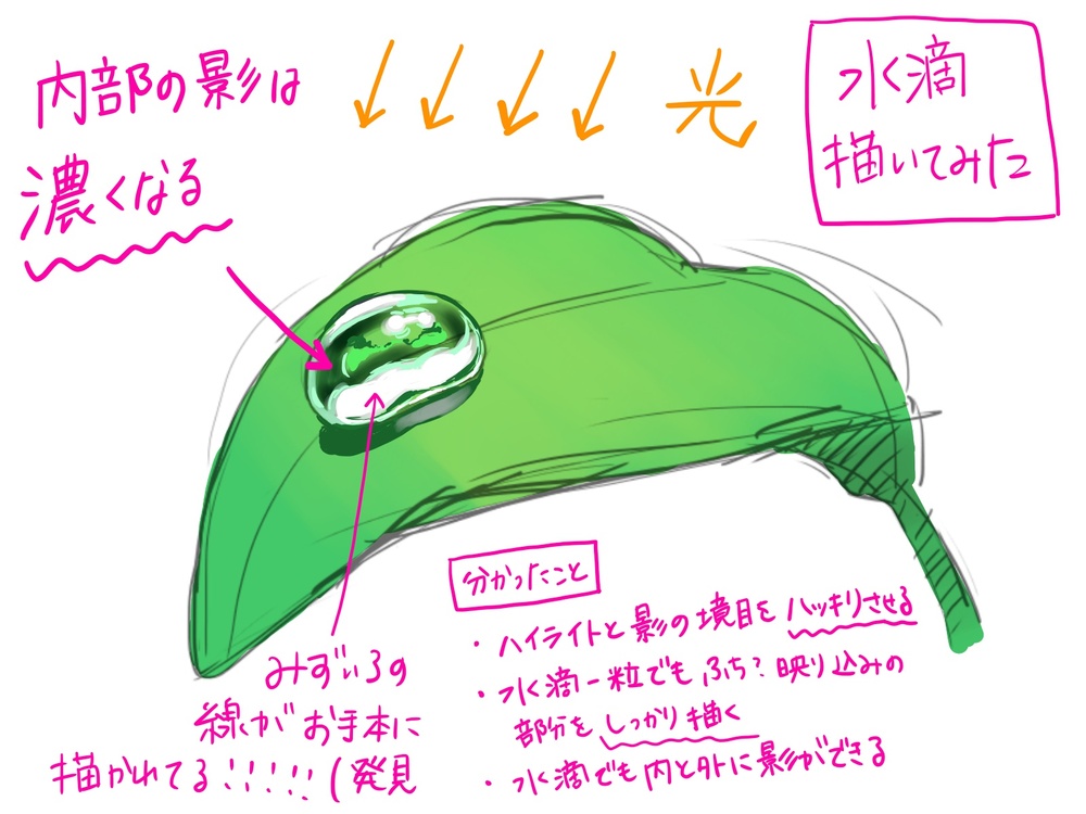 お手本の水滴描いてみた。