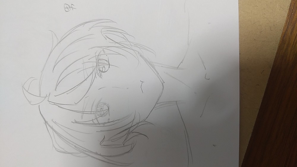 イラレポ