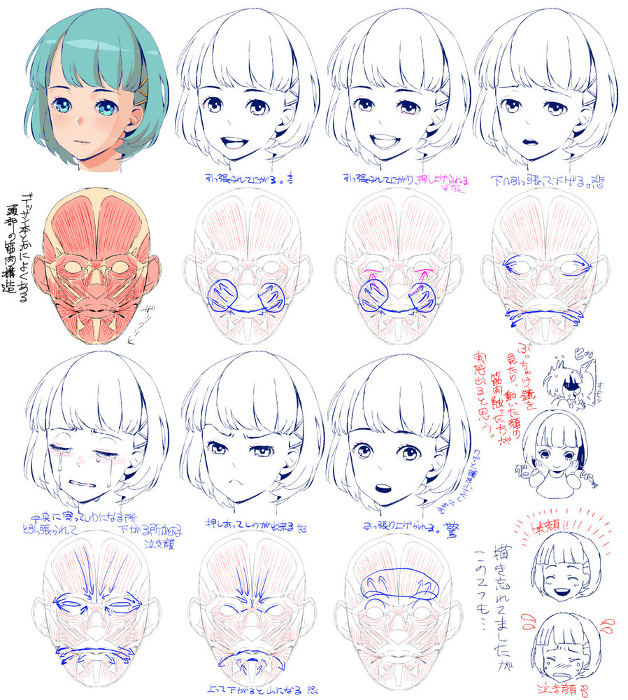 筋肉の動きから表情を描く