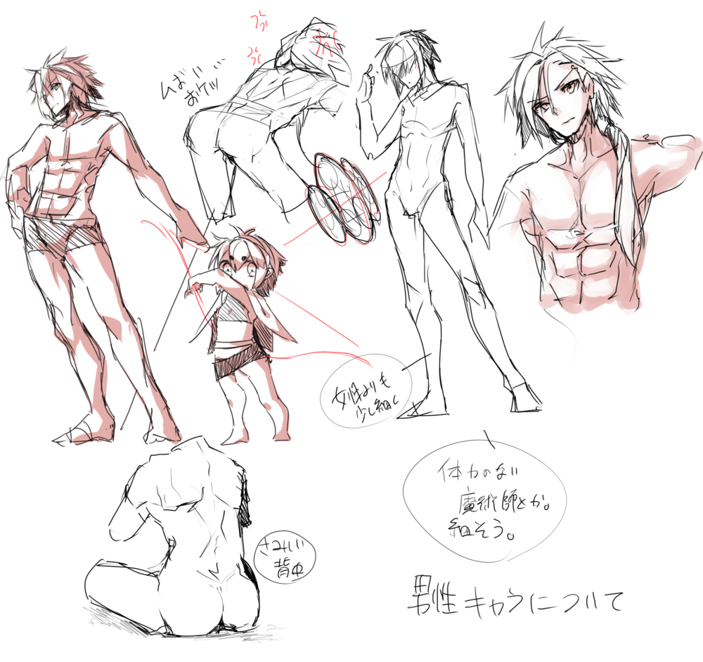 男性の体型