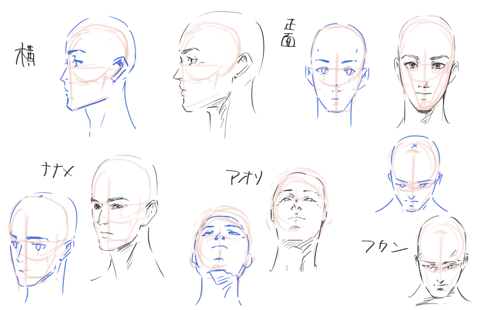 頭部の向き練習