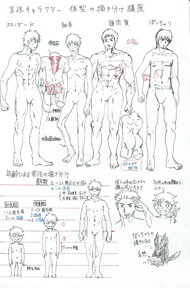 体型の描き方講座