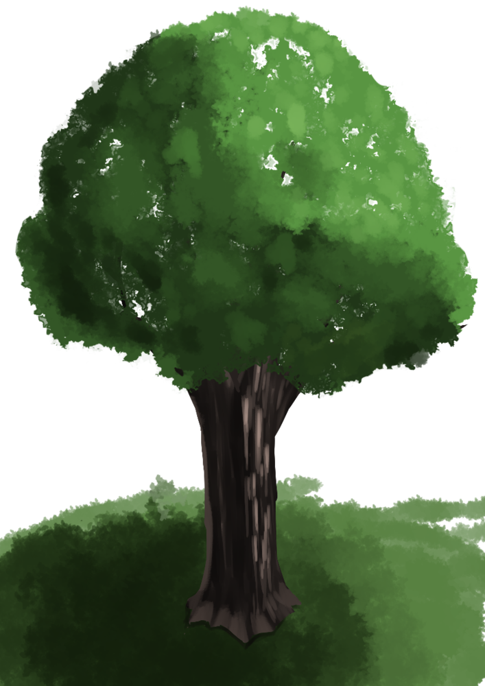 木の描き方講座のイラレポ