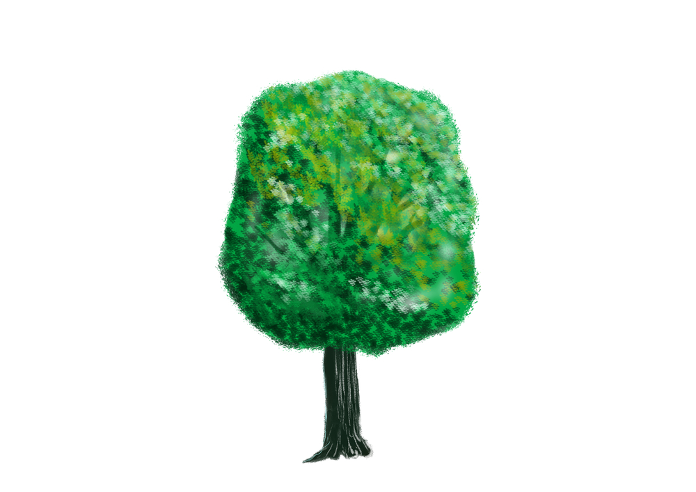 木のブラシを作る