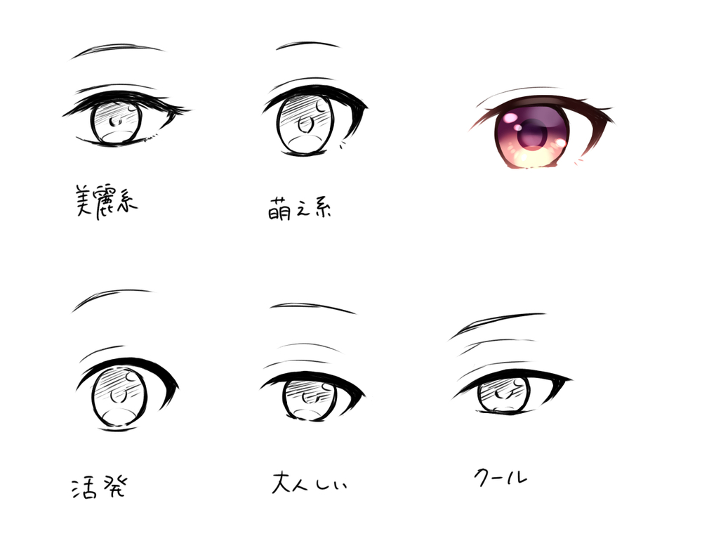 いろいろな目