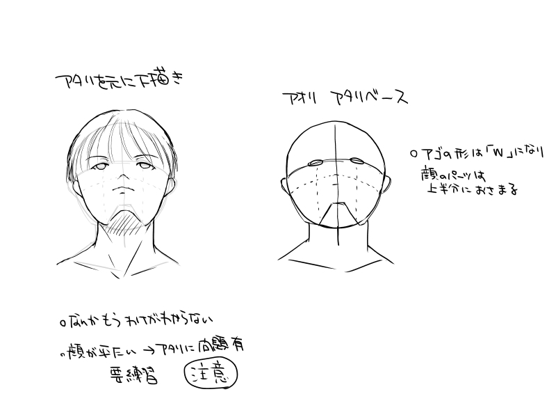 STEP 5 アオリの顔の練習