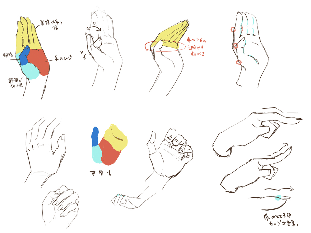 手の描き方イラレポ