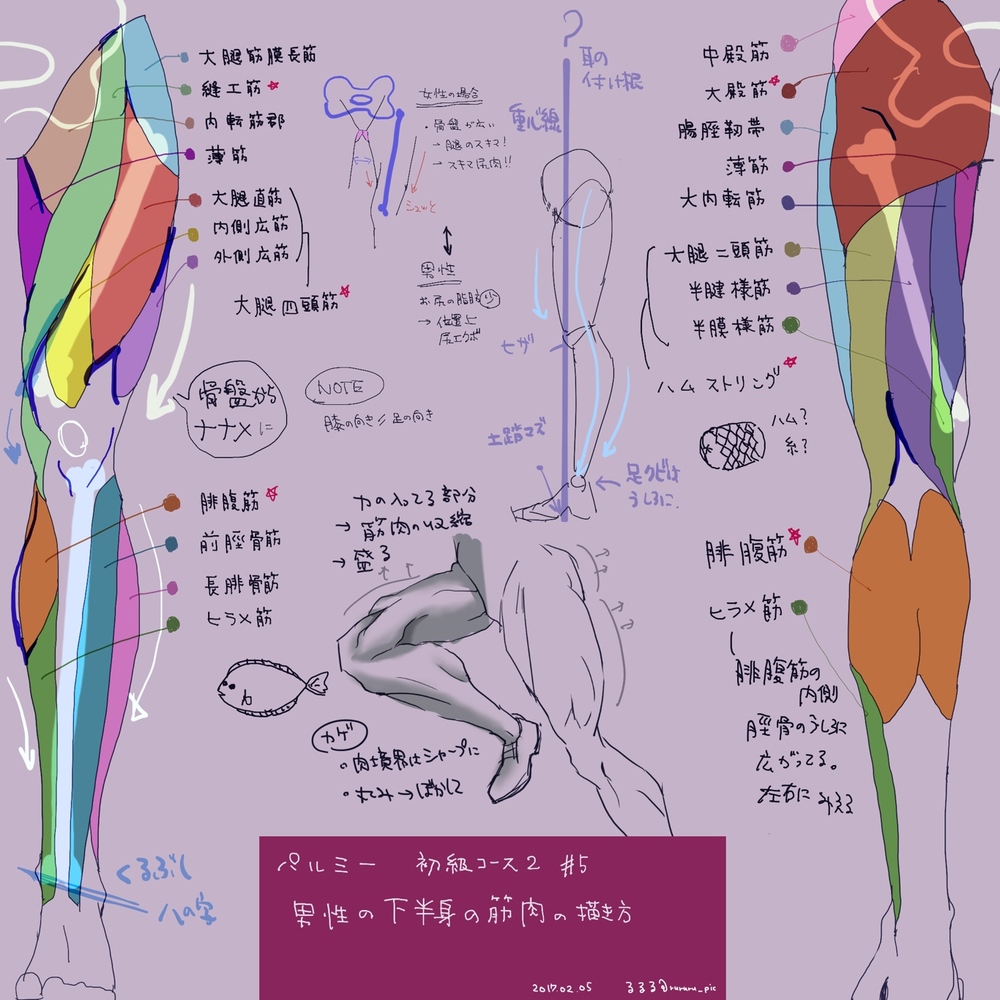 下半身のお肉
