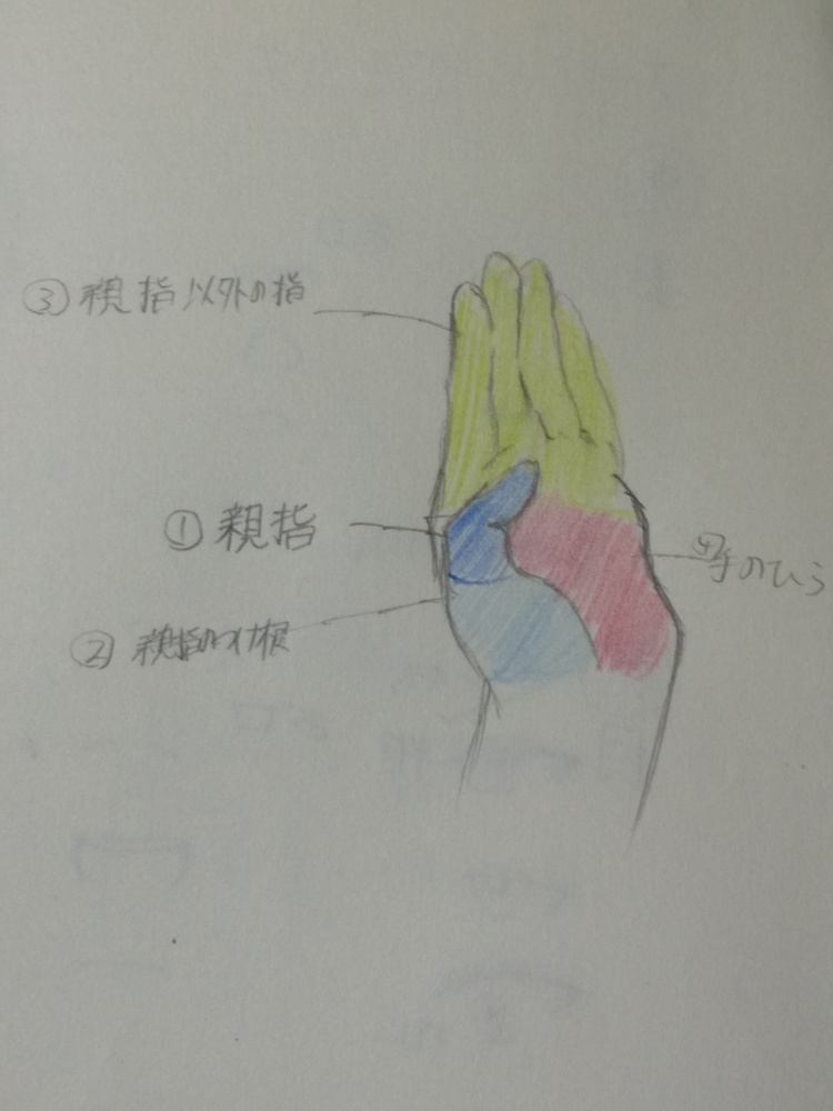 手（パーツ）