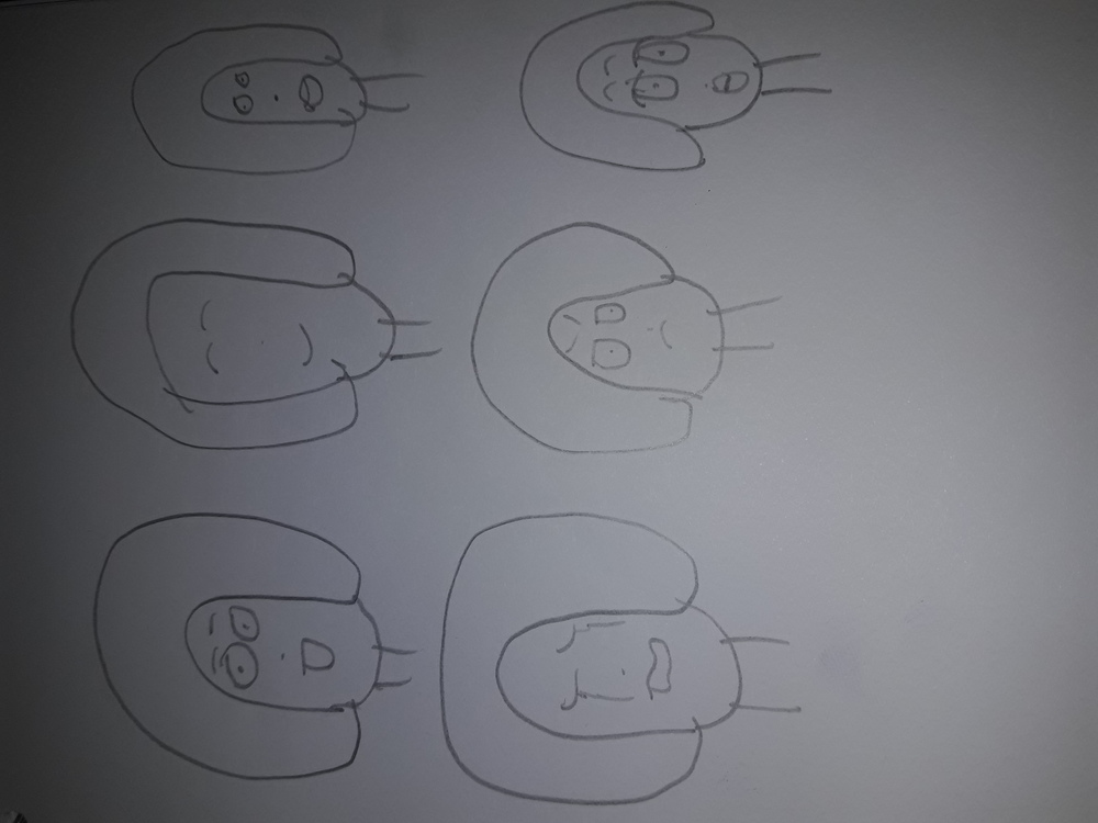 Emosi dan duka