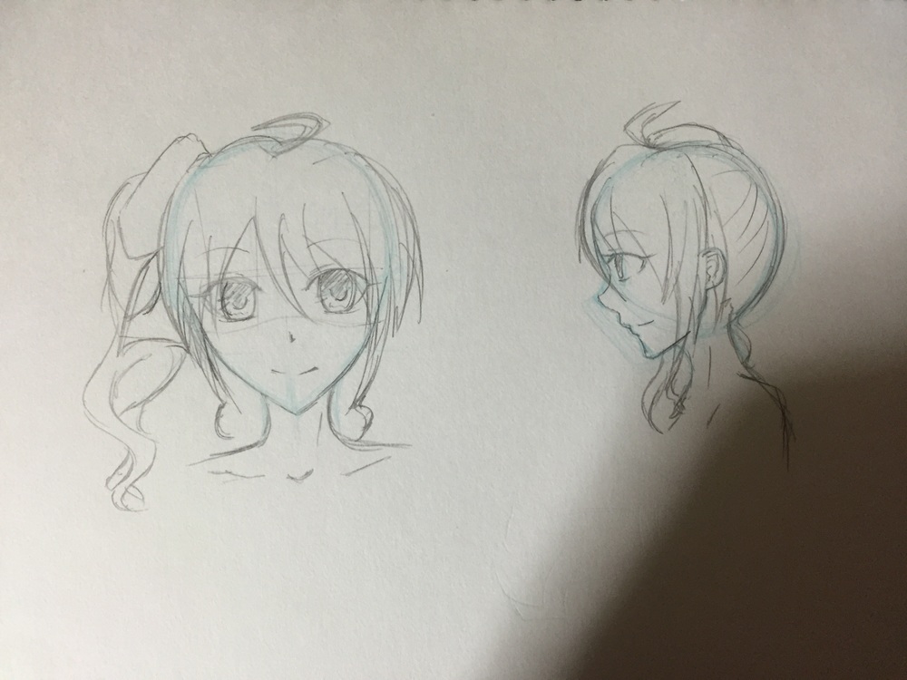 真正面と横