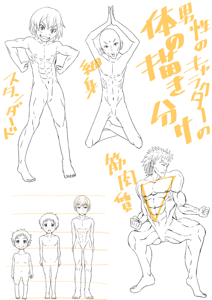 筋肉の描き分け