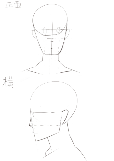 初級1-1　顔正面　横　