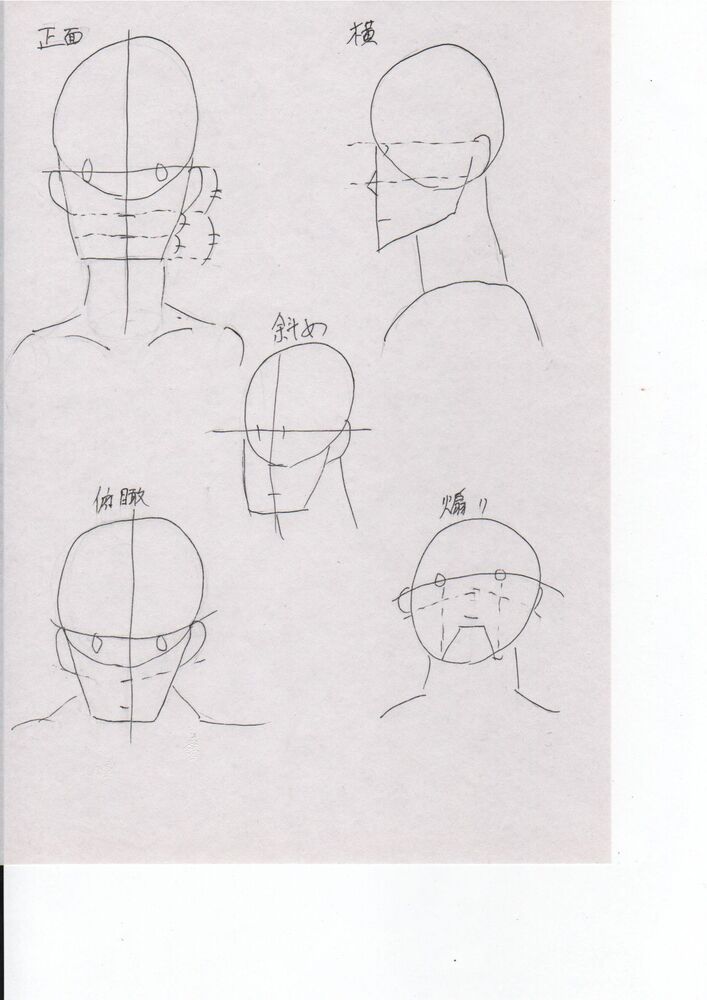 イラレポ初投稿