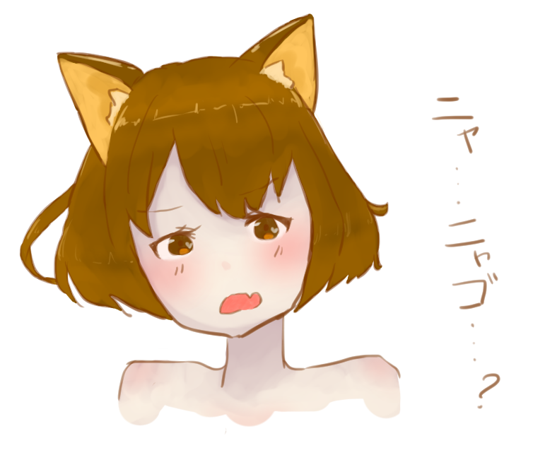 猫耳