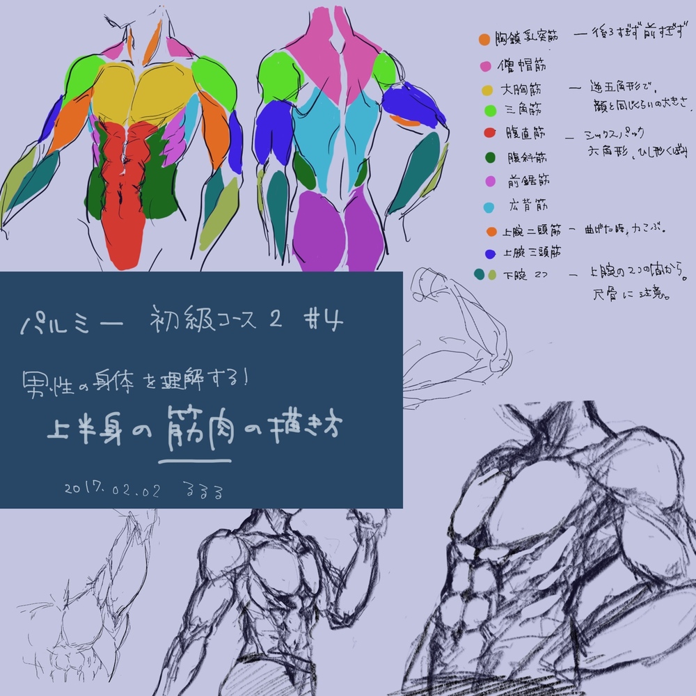 筋肉