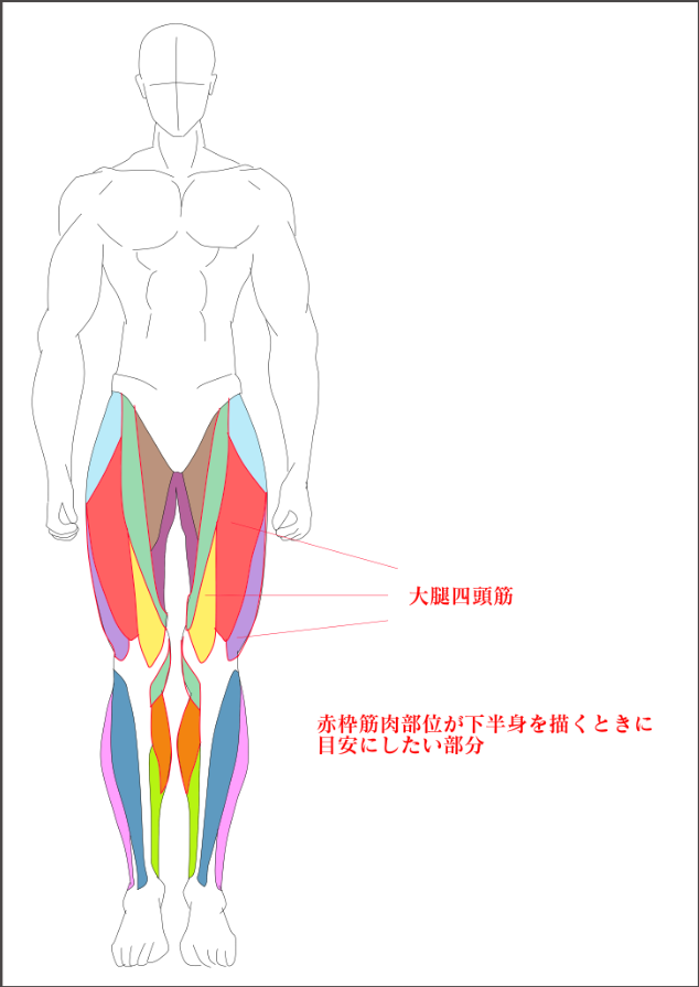 男性の下半身の描き方