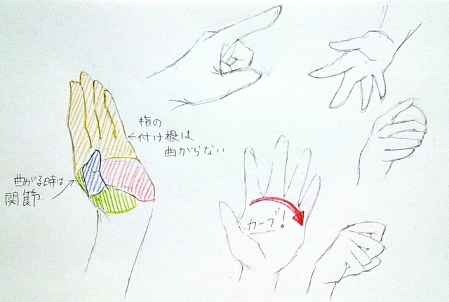 手の描き方イラレポ
