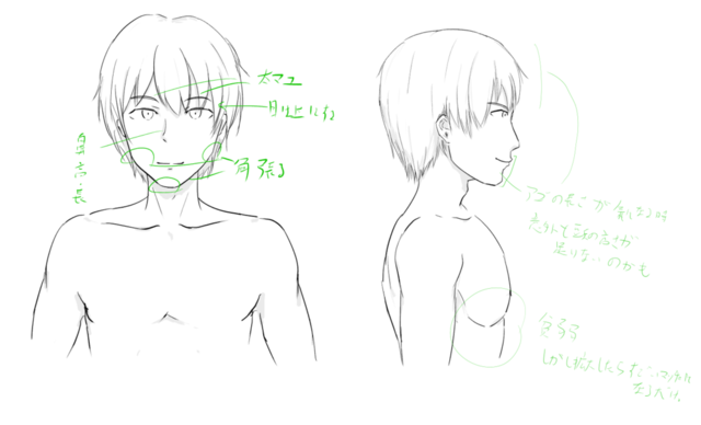 男性標準顔