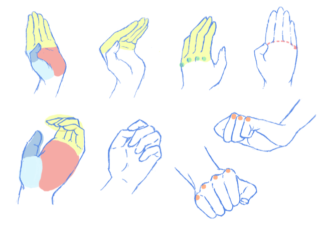 手や指の描き方