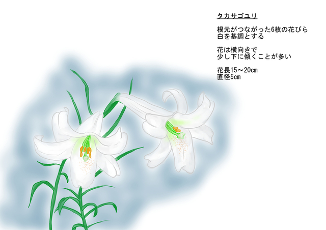 花の描き方