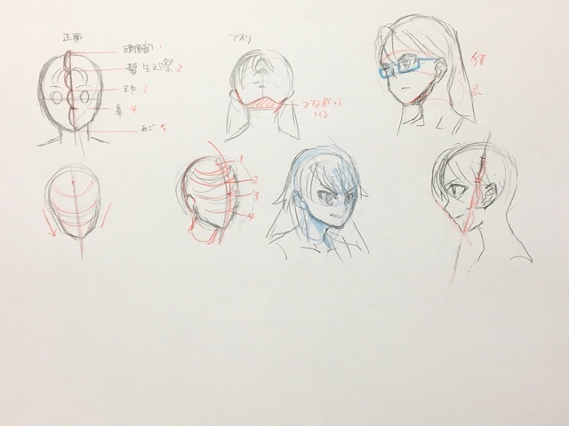 顔の描き方イラレポ顔-2