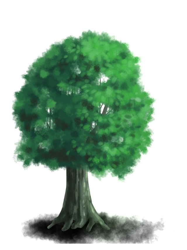 木の描き方