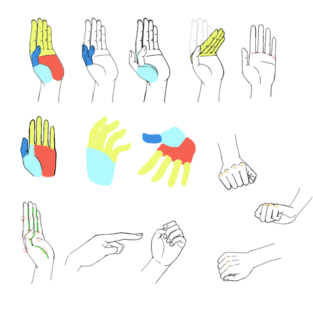 手や指の描き方