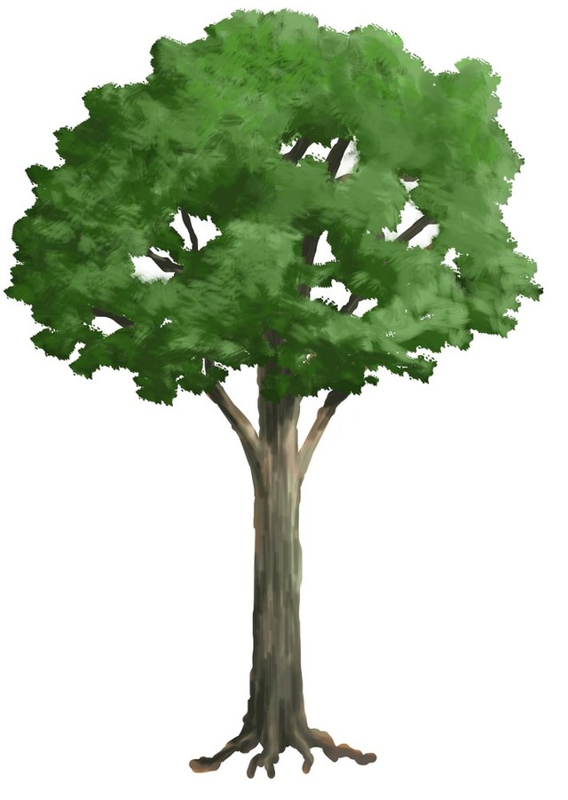 木のブラシの作り方講座