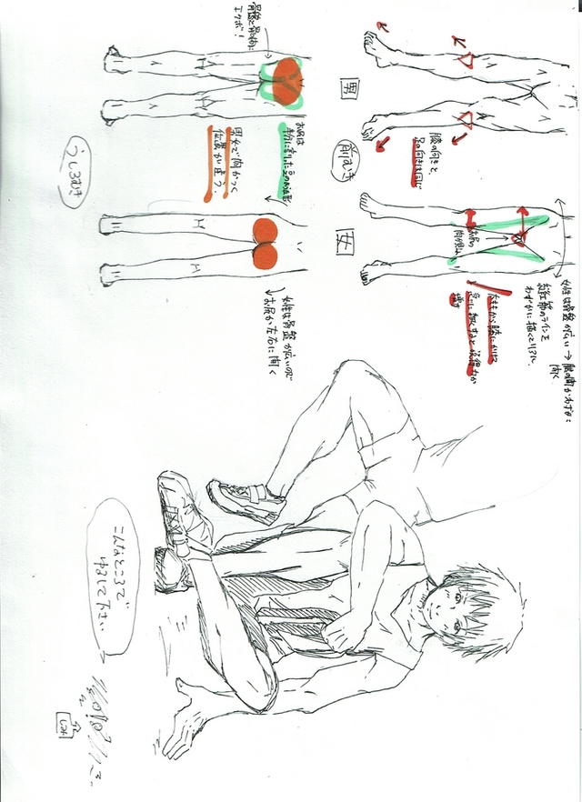 下半身の筋肉の描き方　２